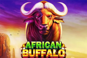 african buffalo